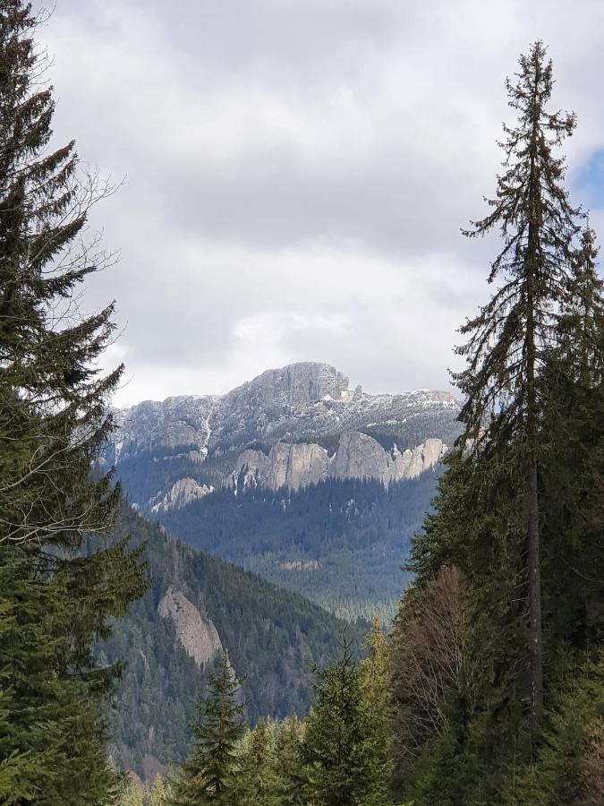 Apart Hotel Center Piatra Neamţ Exteriör bild